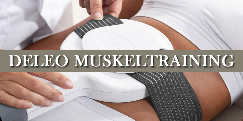 Kapitel-DELEO-Muskeln